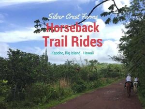 Huawei пуска Pura X с уникален 16:10 широк сгъваем дисплей · TechNode