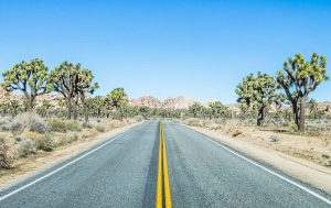 A Lifestyle Traveler’s Secret to Seamless Connectivity
