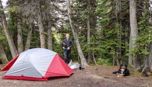 Camping With A Dog: Tips from a Long Time Outdoor Adventurer