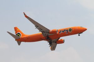 Китайските изследователи разкриват дефект на ген като ключов двигател на лупус