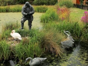 WWT London Wetland Centre Barnes with Kids