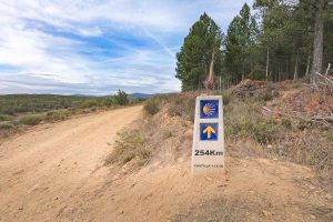 14 Camino de Santiago tips for planning and walking