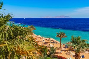 Carnival’s New CHEERS! Zero Proof Expands Non-Alcoholic Options at Sea