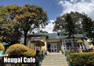 Mystical Evenings at Neugal Café: My Travel Notes
