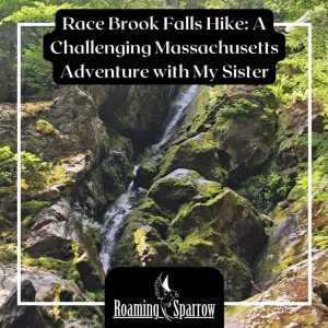 Race Brook Falls Hike: Complete Trail Guide & Experience in Massachusetts