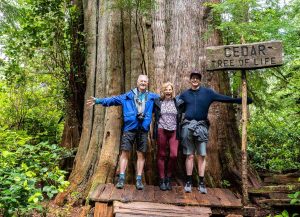 10 BEST Tofino Hikes