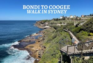 The Bondi to Coogee walk
