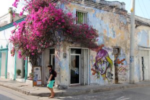 Fun & Cozy Hostels in Cartagena