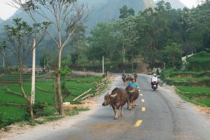 Alternative Vietnam Itinerary for Offbeat Travelers & Returnees
