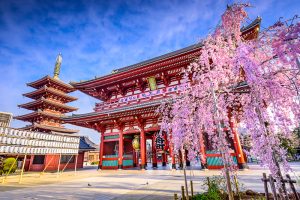 23 Most Exciting Things To Do In Tokyo, Japan