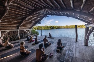 Finding the Perfect Wellness Retreats and Mindfulness Holidays