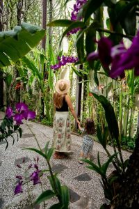 Anantara Angkor Resort Review: Family-Friendly Luxury at the Temples of Cambodia