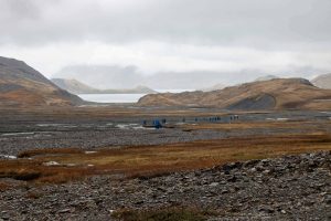 Your Guide To Stromness South Georgia Island (2025)