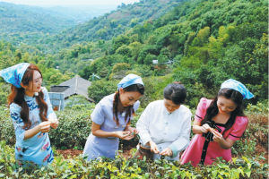 Поредицата засилва любопитството към Jiangsu като туристическа дестинация