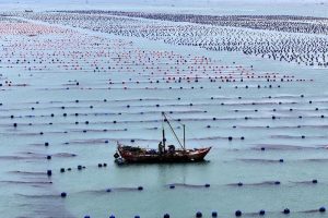 Морската икономика на Китай отчита ръст от 5,6% през първите 9 месеца на 2025 г