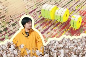 От безплодни земи до изобилие: златните яйца на Дунхуанг