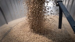 Китайският търговски преговарящ призовава САЩ да дадат тласък на селскостопанското сътрудничество